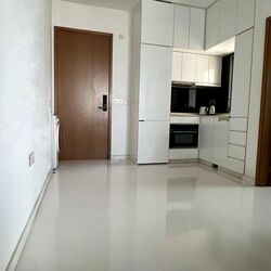 Spottiswoode Suites (D2), Apartment #488517361